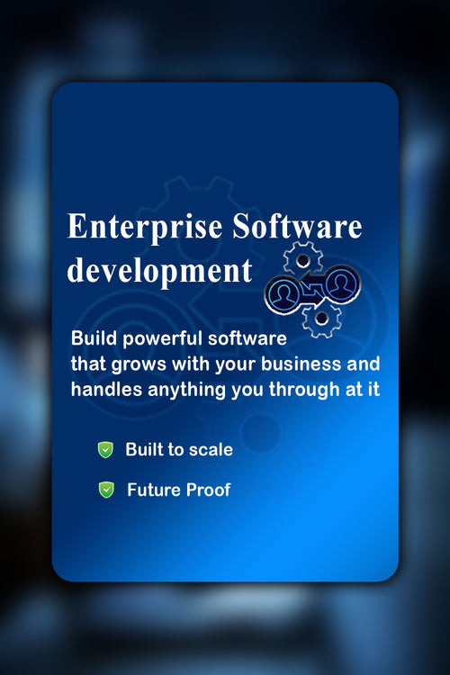 Enterprise Software Development (Pro Package)